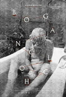 《林中空地》：惊悚逃生还是人性迷局？深度解析这片林子里的秘密与谎言！