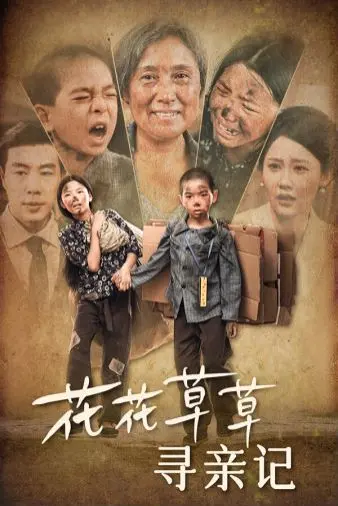 《花花草草寻亲记》：一场笑泪齐飞的奇妙旅程，治愈你的孤独心灵！