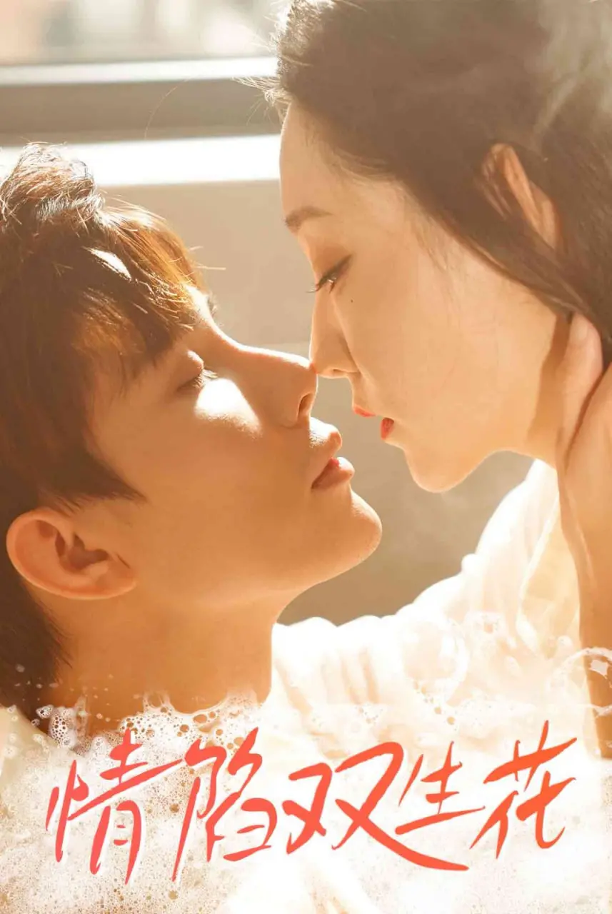 《情陷双生花》：镜花水月的双面人生，命运捉弄下的爱与纠葛